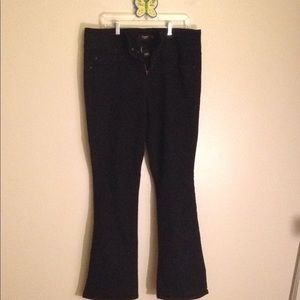 Torrid Black Jeans